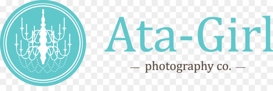 Logotipo De Fotografía，Araña PNG