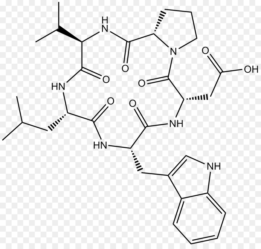 Estructura Química，Molécula PNG