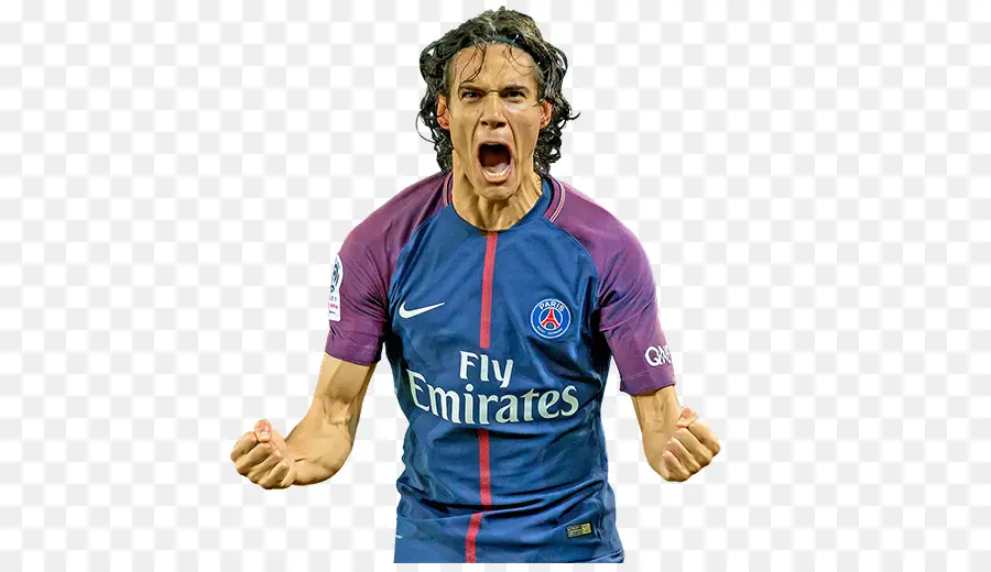 Edinson Cavani，La Fifa 18 PNG