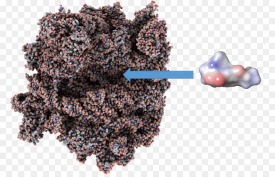 Los Antibióticos，Beilstein Diario De La Química Orgánica PNG