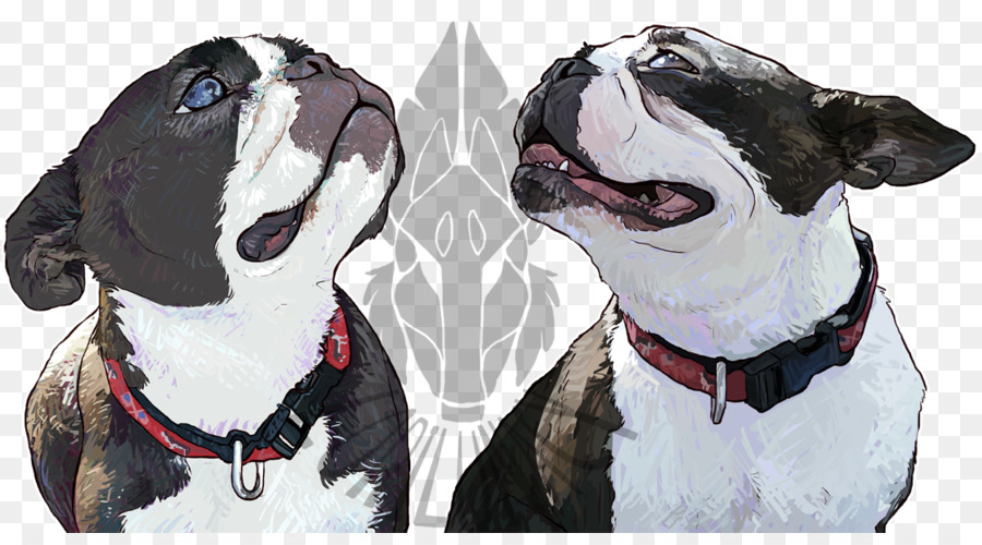 Boston Terrier，Raza De Perro PNG