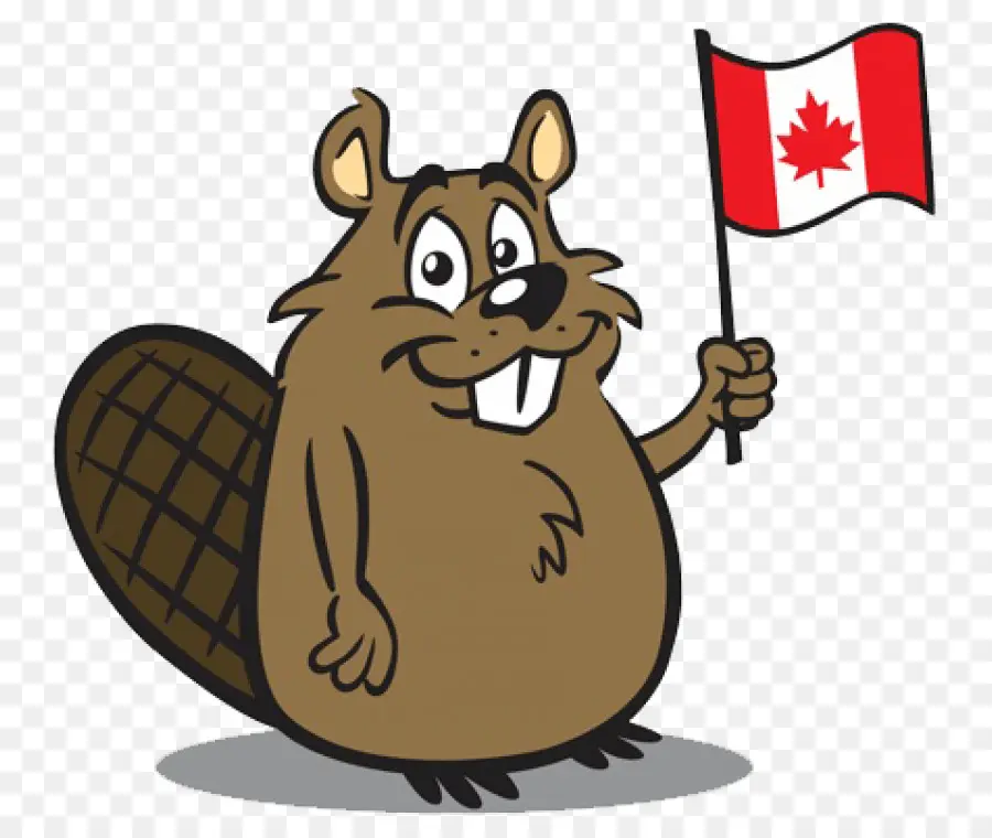 Castor Con Bandera Canadiense，Dibujos Animados PNG