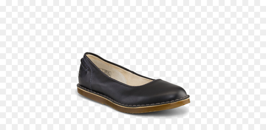 El Ballet Plana，Zapato PNG