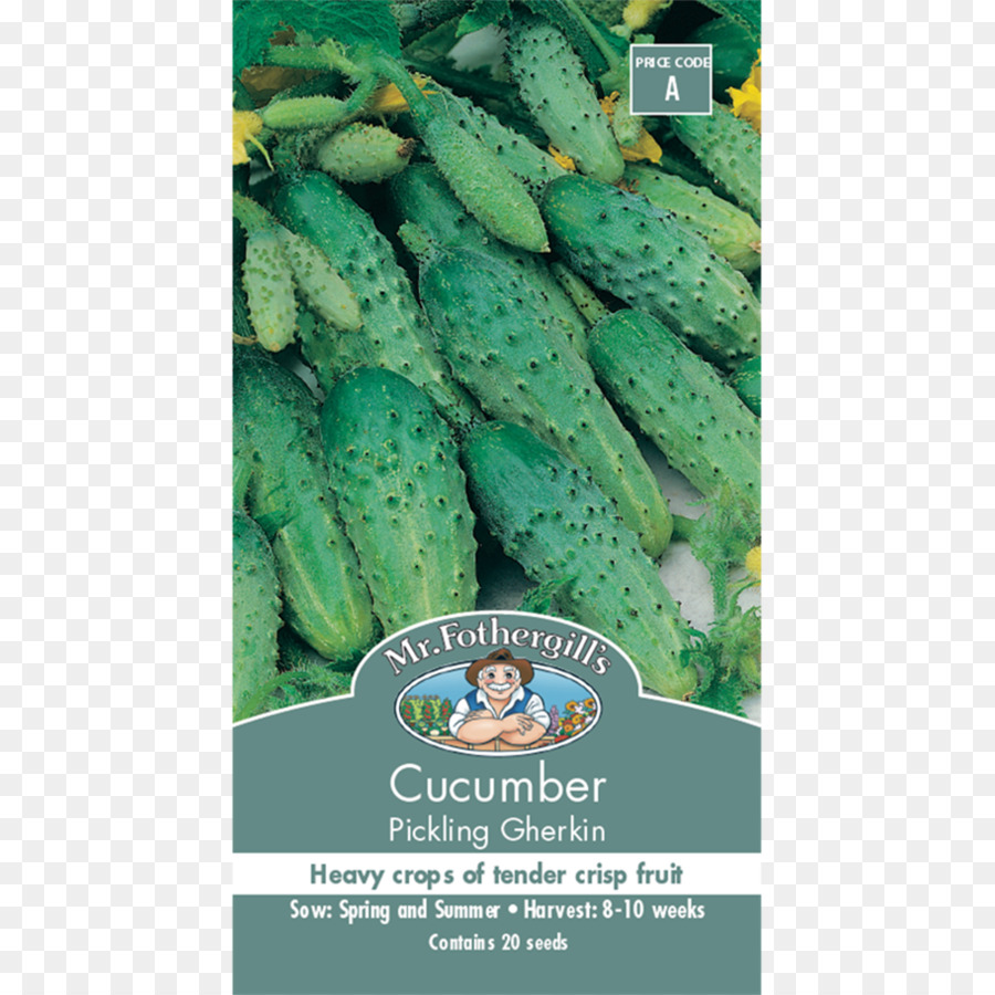 Pepinillos En Vinagre，Pepino PNG