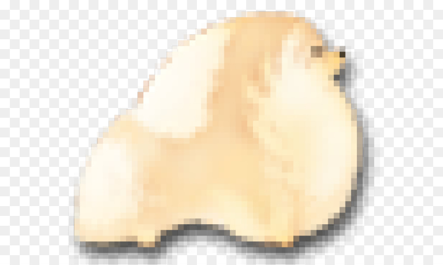 Nariz，Animal PNG