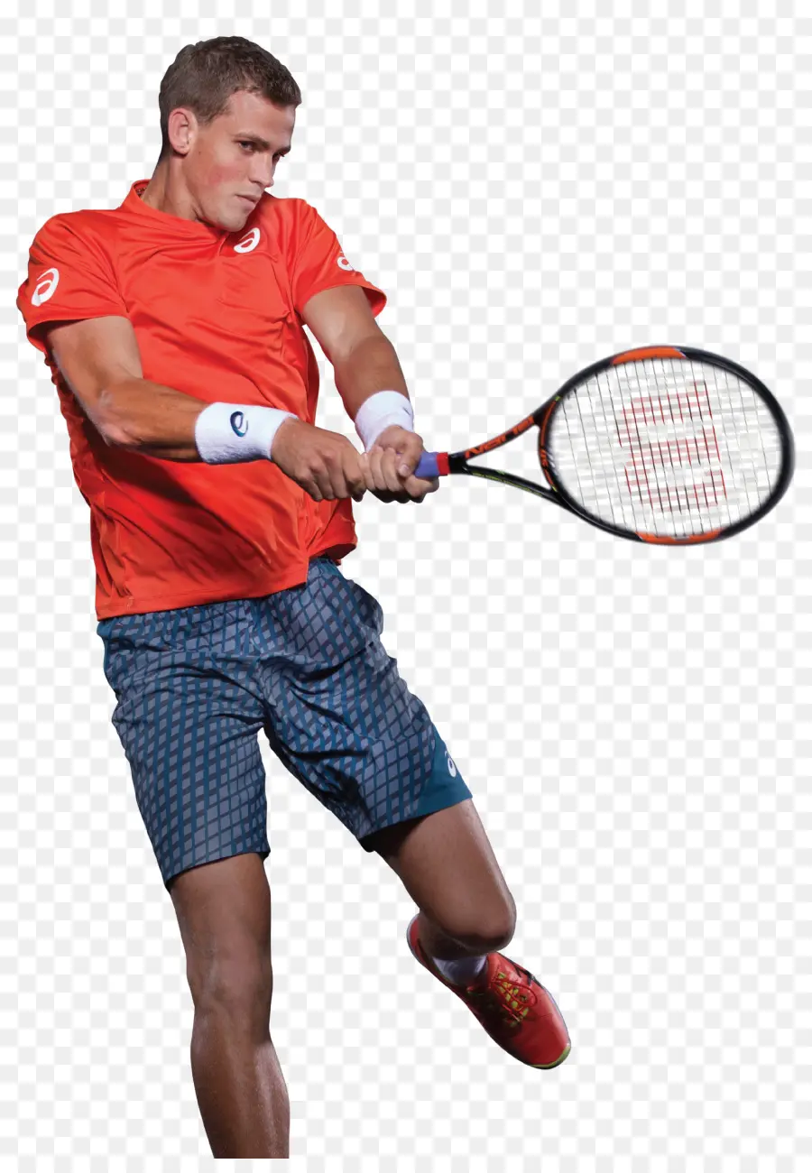 Vasek Pospisil，Tenis PNG