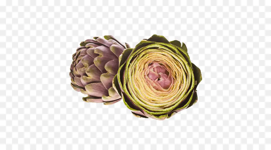 La Alcachofa，Pesto PNG