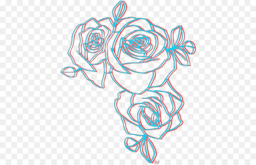 Rosa，Dibujo PNG