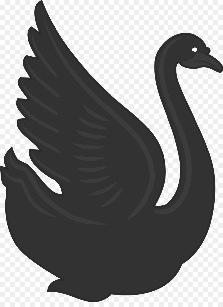 Cisne Negro，Pájaro PNG