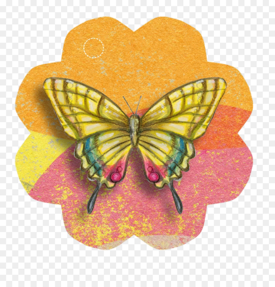 Papel，Mariposa PNG