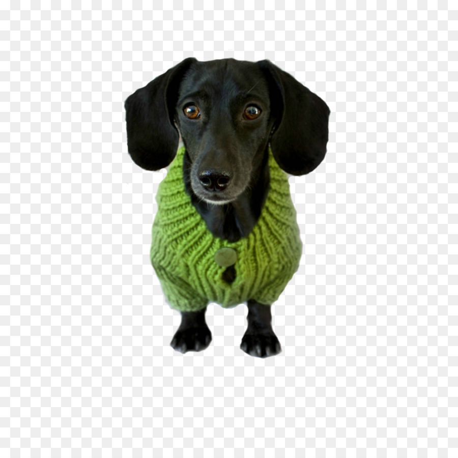 Perro Negro，Jersey Verde PNG