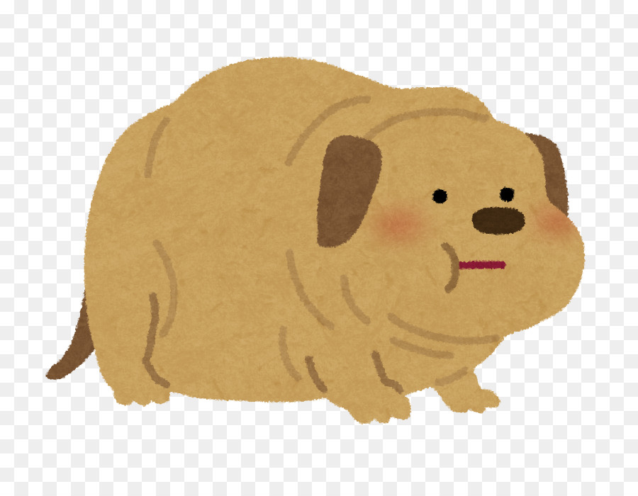 Caniche，El Alimento De Perro PNG