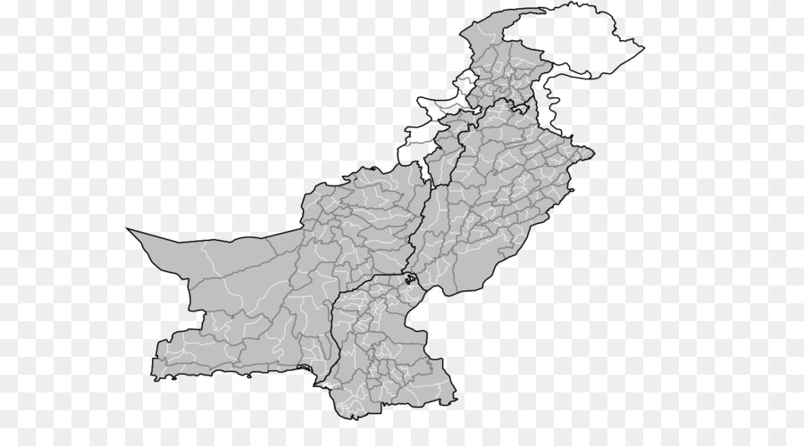 Pakistán，Chinapakistan Corredor Económico PNG