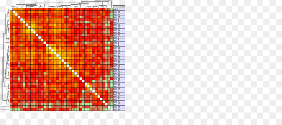 Los Valores Atípicos，Medicina PNG