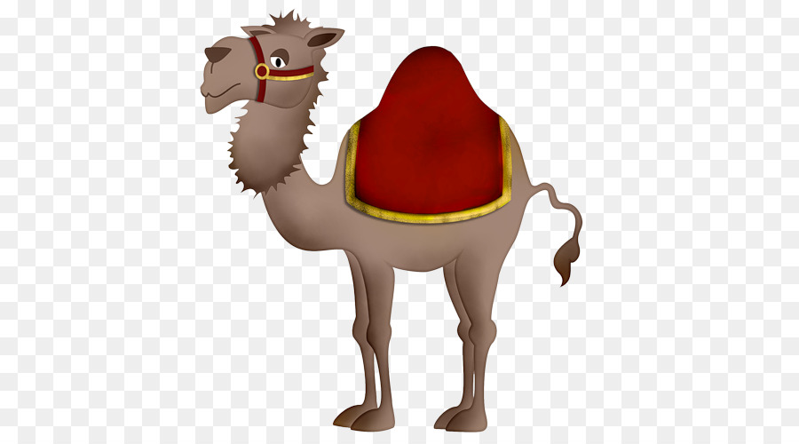 Bebé Camellos，Camello Bactriano PNG