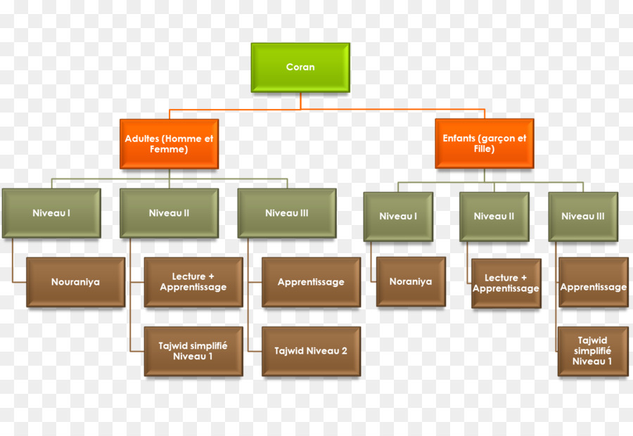 Diagrama De Flujo，Gráfico PNG