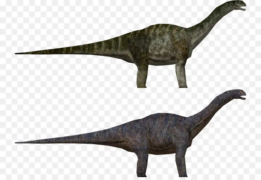 Dinosaurios，Reptil PNG