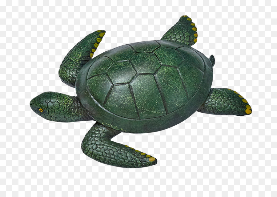 Tortuga，Reptil PNG