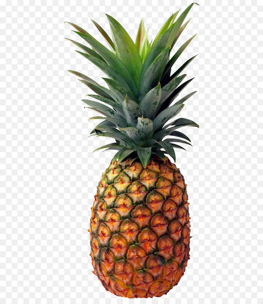 Piña，Piñatex PNG