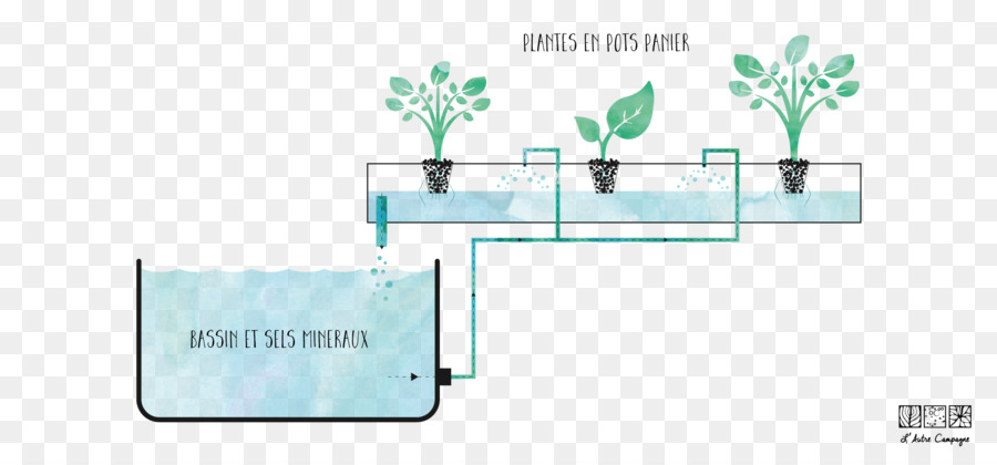 La Hidroponía，Acuaponia PNG
