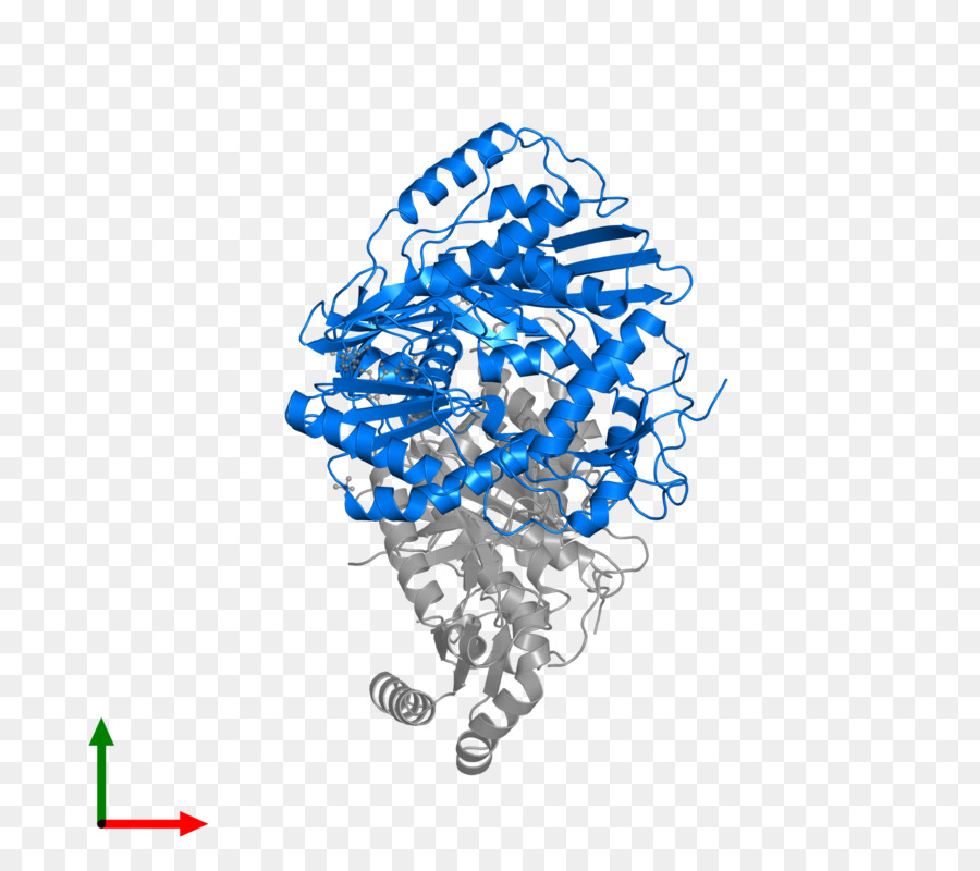 Diseño Gráfico，El Comportamiento Humano PNG