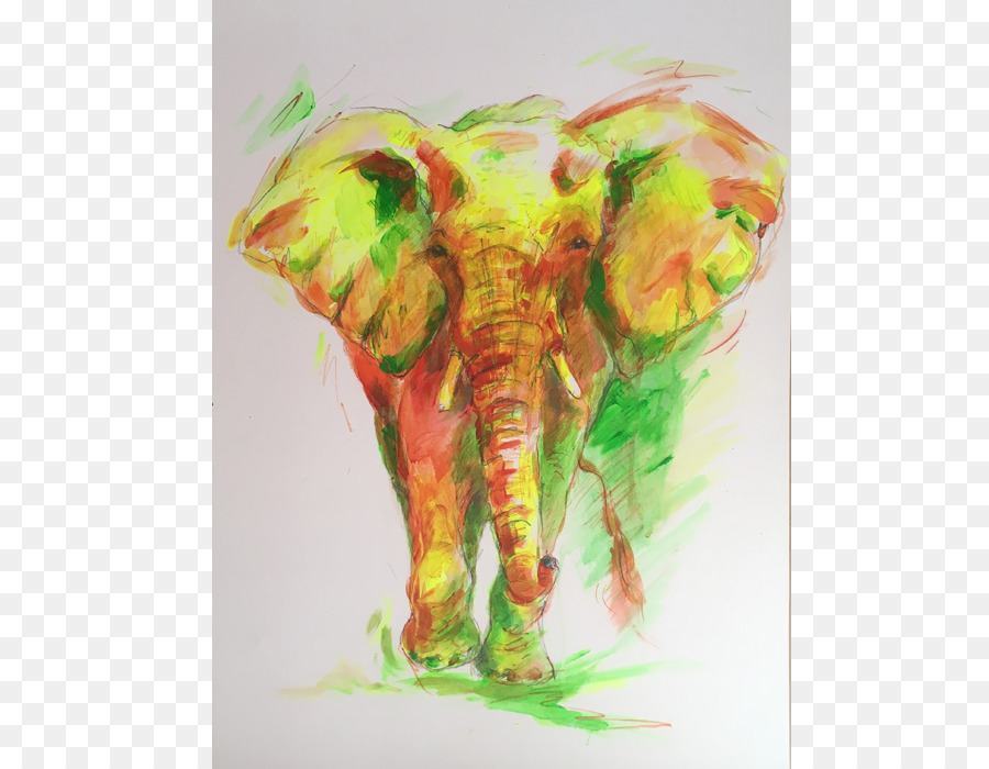 Elefante Indio，Pintura PNG