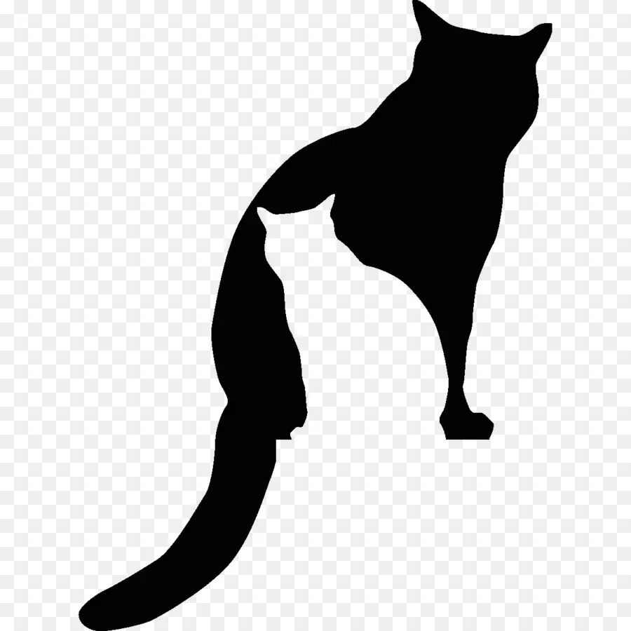 Gato，Silueta PNG