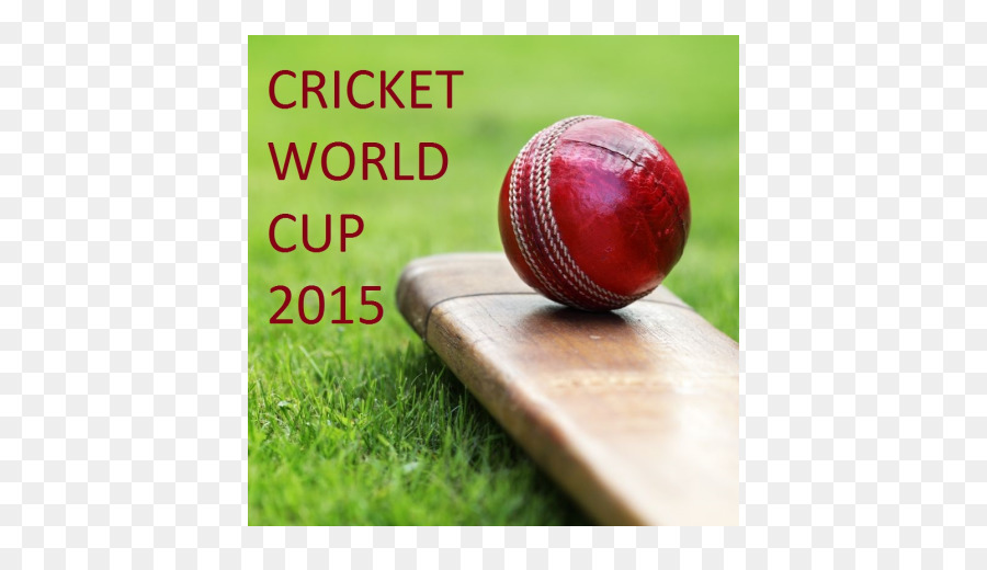 Cricket，2015 Copa Mundial De Cricket PNG