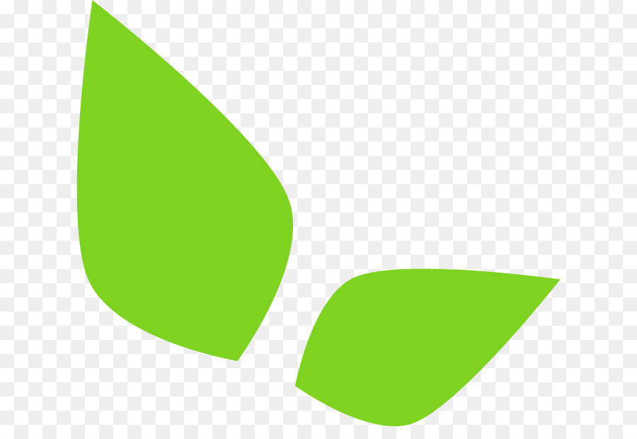 Hojas Verdes，Planta PNG