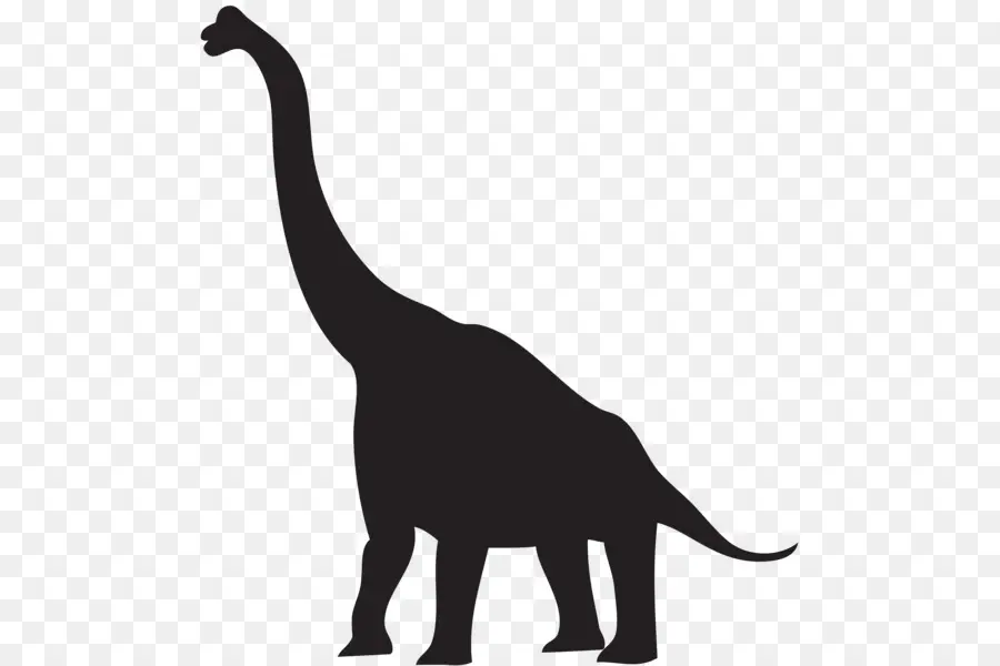 Tyrannosaurus，Velociraptor PNG