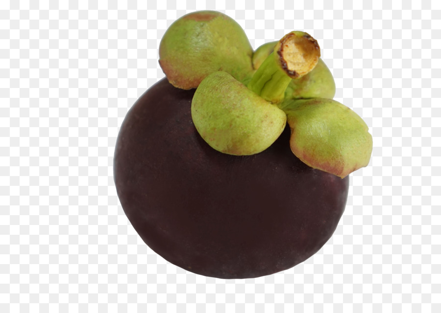 Púrpura Mangostán，Praliné PNG