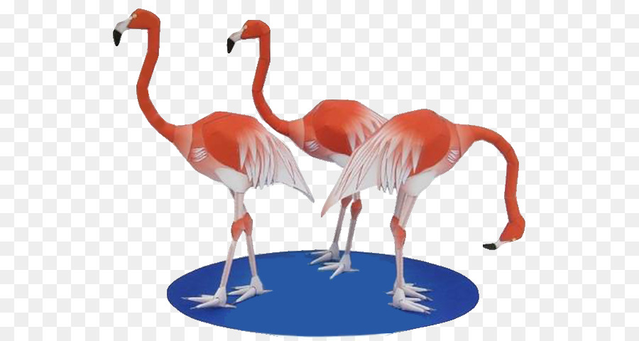 Flamencos，Papel PNG