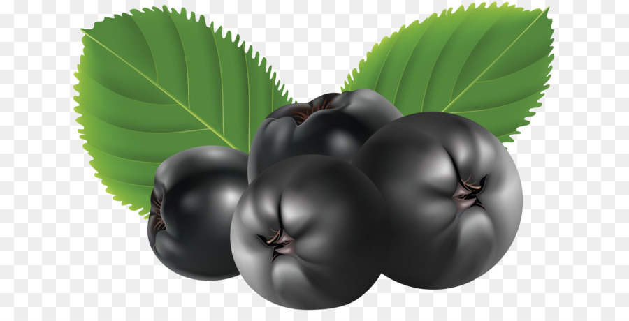 Bayas，Hojas PNG