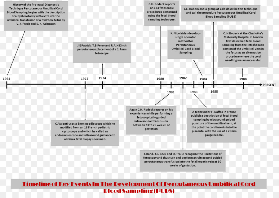 Diagrama De，Cerebro PNG