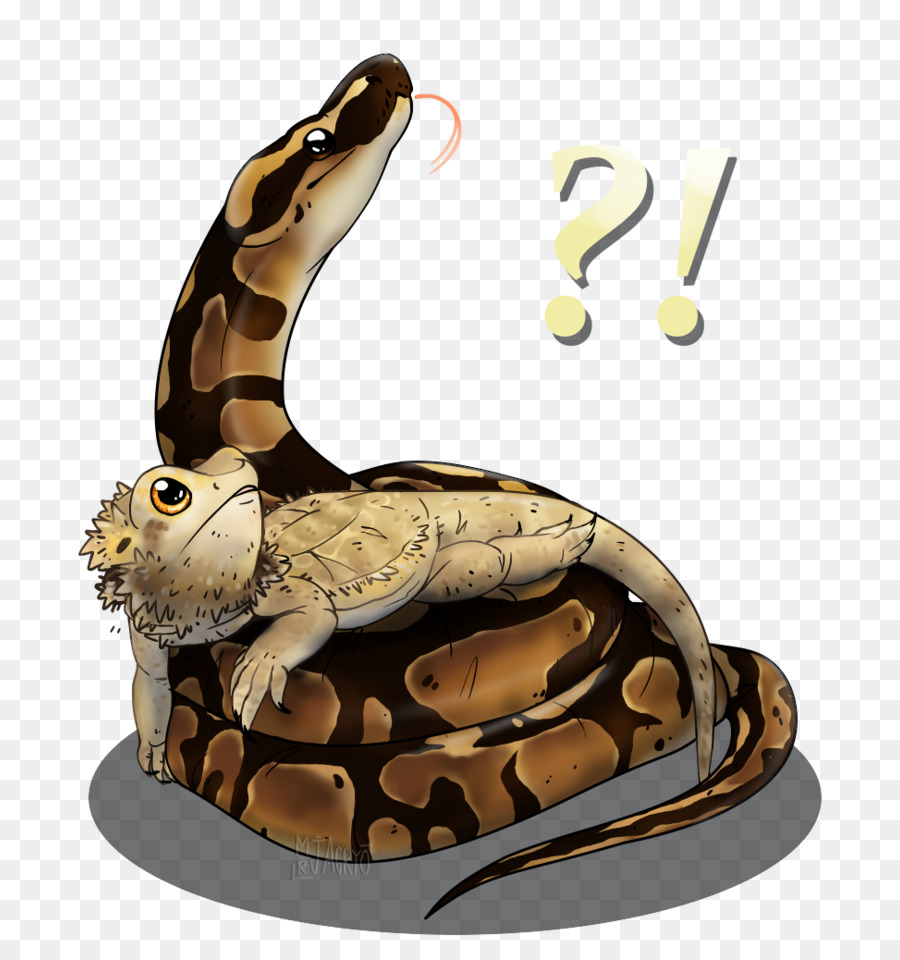 Boa Constrictor，Dibujos Animados PNG