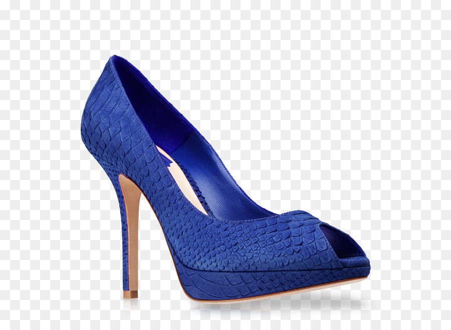 Christian Dior Se，Zapato PNG