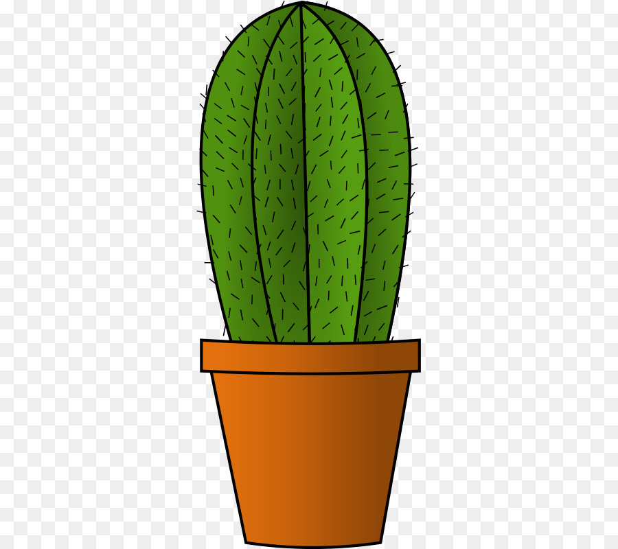 Cactus，Verde PNG