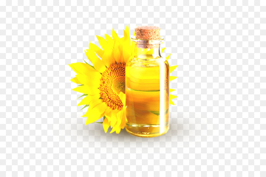 Común De Girasol，Aceite De Girasol PNG