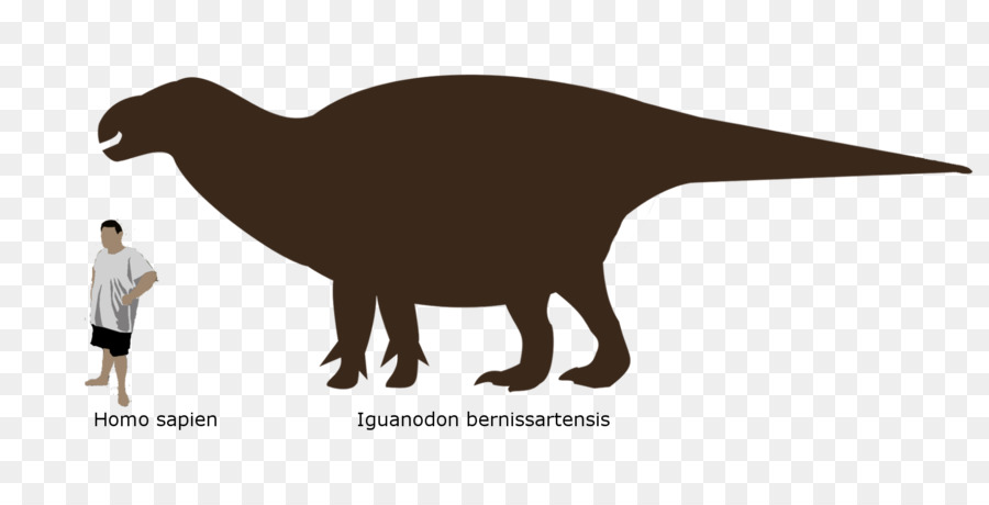 Dinosaurio，Triceratops PNG