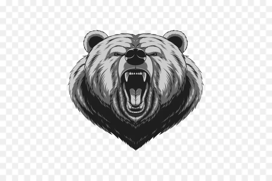 Oso，El Oso Negro Americano PNG