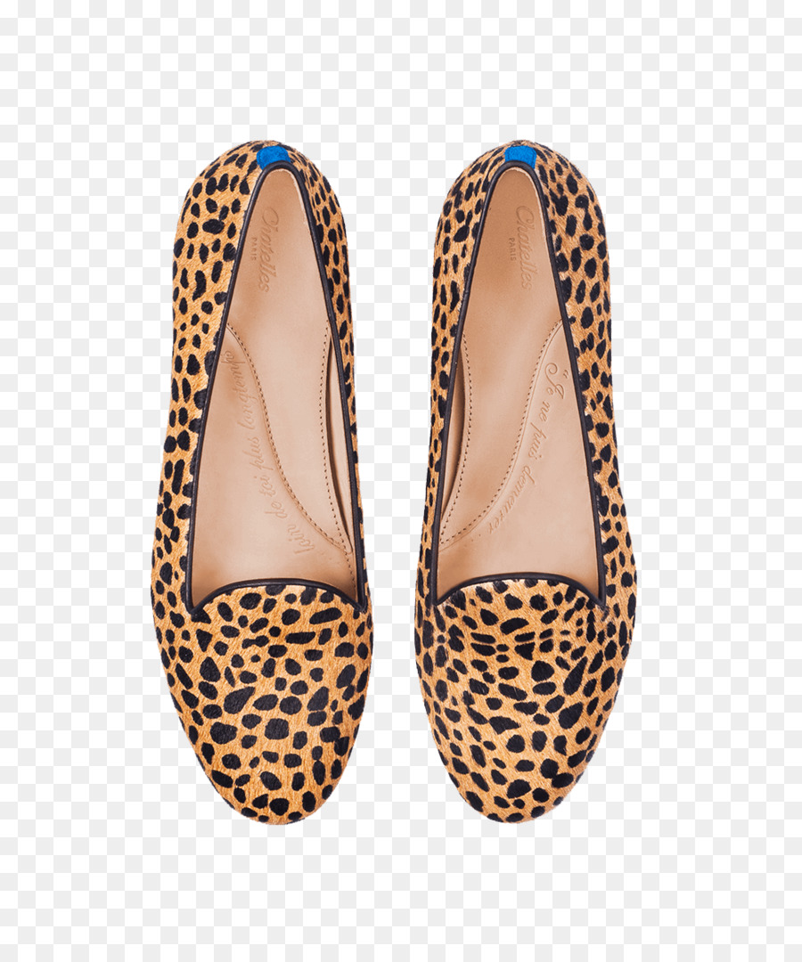 Zapatilla，Zapato PNG