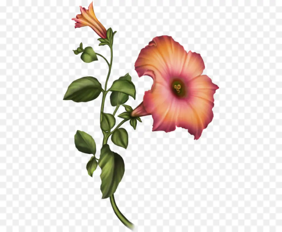 Diseño Floral，Cortar Flores PNG