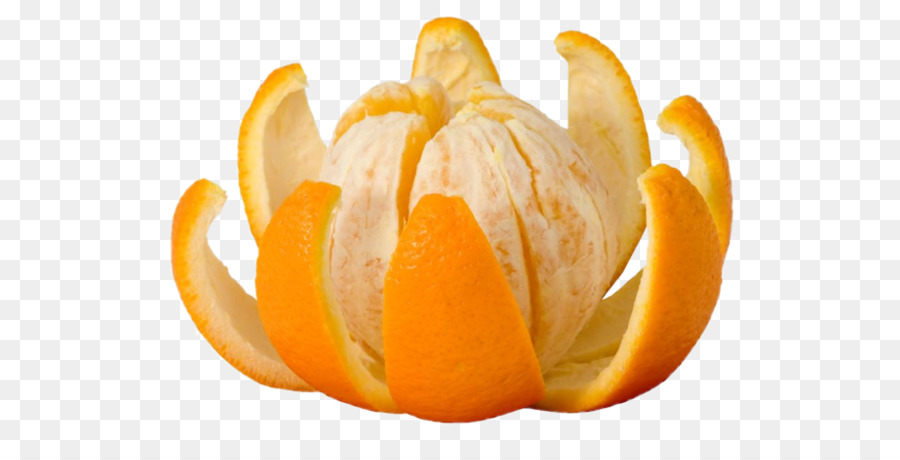 Jugo De Naranja，La Naranja Amarga PNG