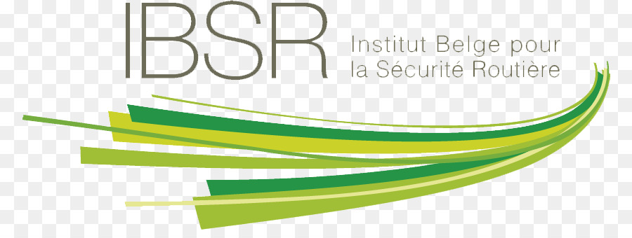 Logotipo De Ibsr，Seguridad Vial PNG