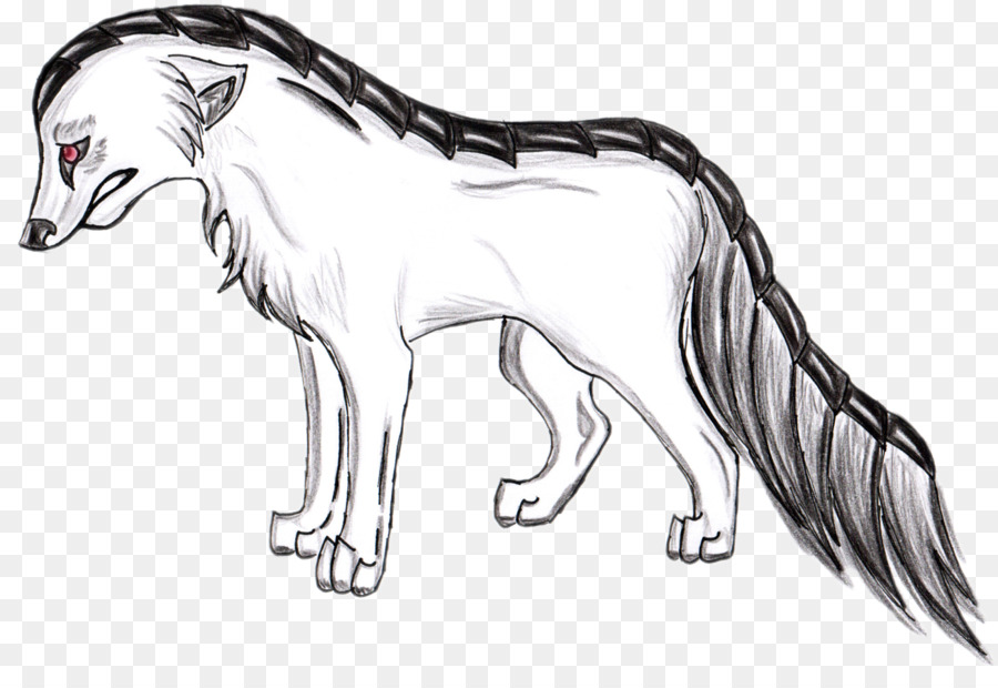 Lobo，Blanco PNG