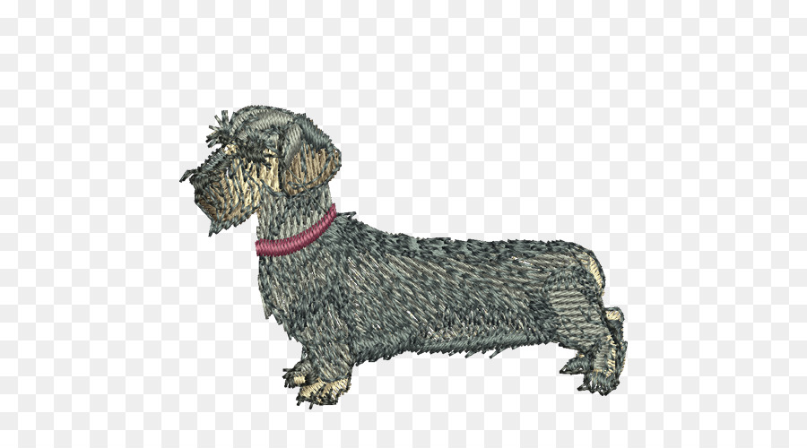 Cesky Terrier，Dachshund PNG