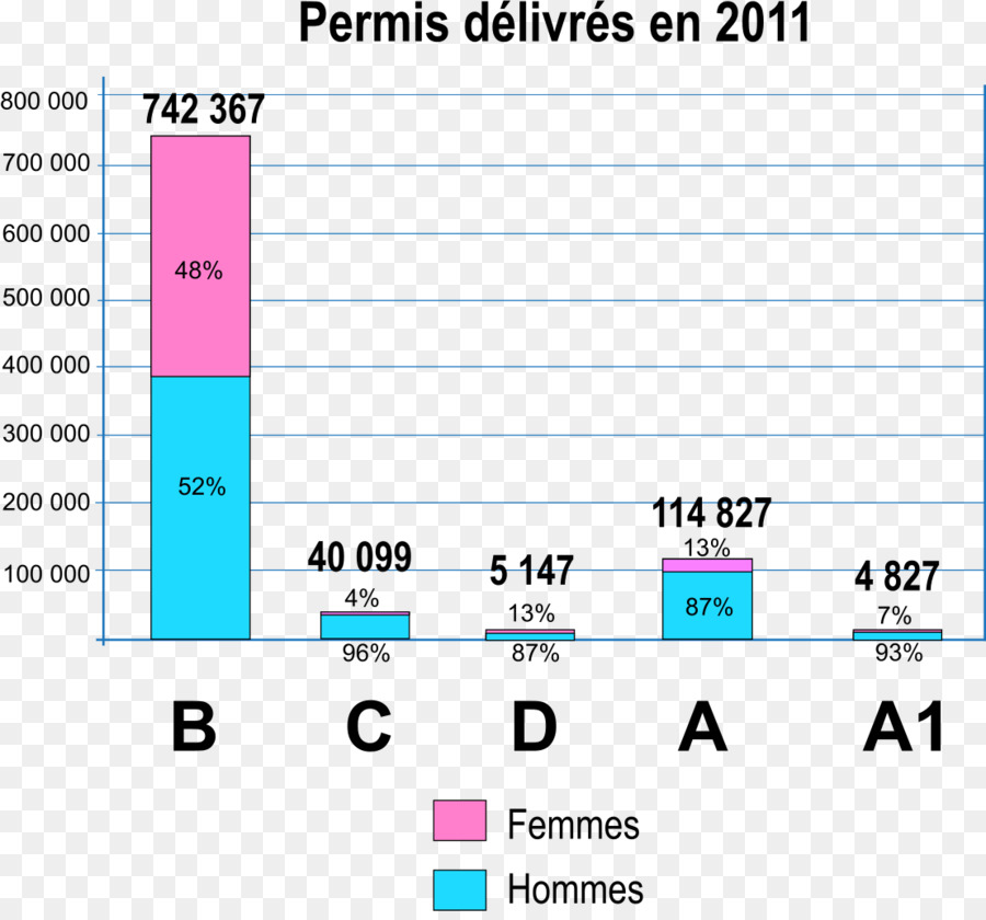 La Licencia De Conducir，Documento PNG