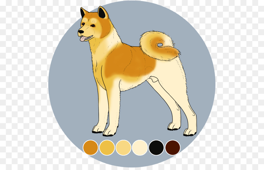 Spitz Finlandés，Shiba Inu PNG