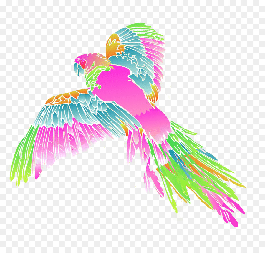 Parrot，Pluma PNG