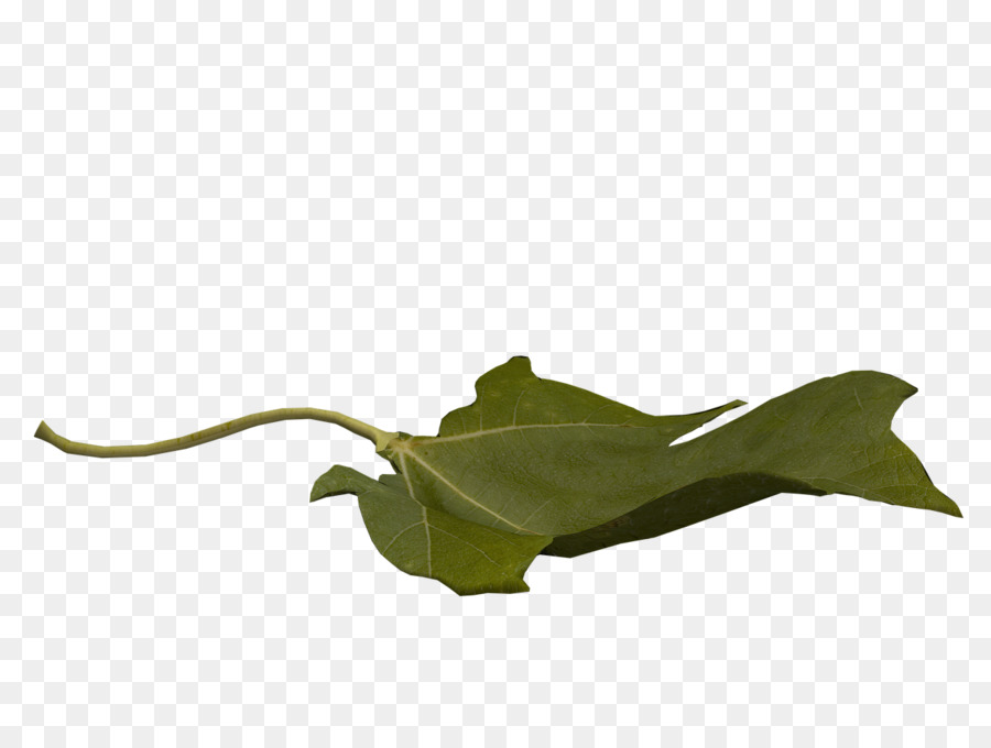 Hoja，Vuelo PNG